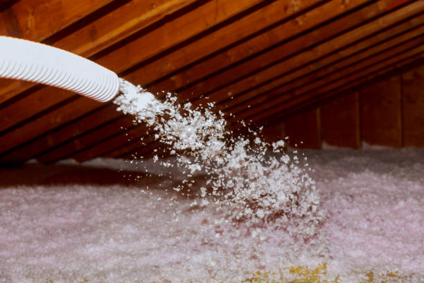Best Insulation Maintenance and Repair in Imperial Beach, CA